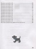 Русский язык. 2 класс. Проверочные работы - 2