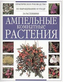 Ампельные комнатные растения