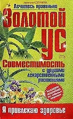 Золотой ус: Совместимость с другими лекарствами