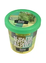 Набор для выращивания растений, Вырасти, Дерево! Сосна Веймутова zk-008
