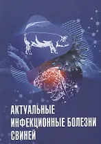 Актуальные инфекционные болезни свиней