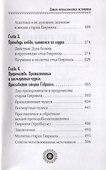Юродивый. Преподобный Гавриил (Ургебадзе) - 2