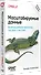 Масштабируемые данные. Высоконагруженные архитектуры, Data Mesh и Data Fabric. 2-е изд. - 1
