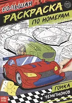 Большая раскраска по номерам «Гонка чемпионов»