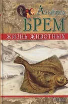 Рыбы. Отряд открытопузырные. Отряд пучкожабреные. Отряд твердочелюстные. Отряд твердочешуйные. Отряд хрящеперные. Отряд круглоротые. Отряд трубкосердцевые