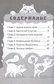 Приключения кошки Матрешки. Кто в доме хозяин - 2