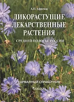 Дикорастущие лекарственные растения средней полосы