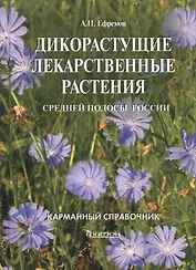 Дикорастущие лекарственные растения средней полосы