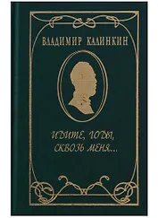 Идите, годы, сквозь меня…