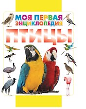Птицы