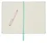 Книга для записей А4- 96л кл. "Joy Book. Ментоловый" иск.кожа, тв.переплет, ляссе, резинка, инд.уп. - 2