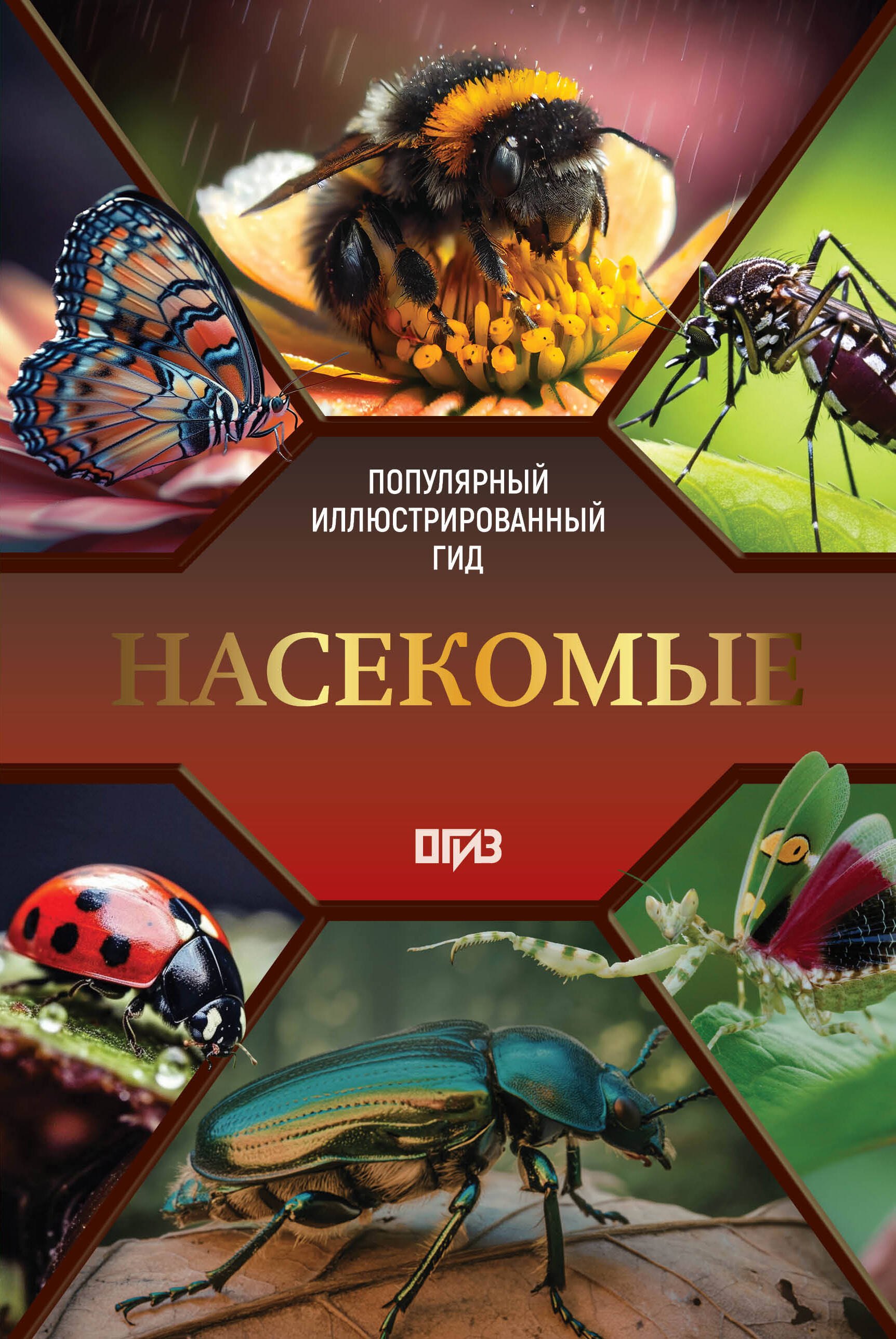 

Насекомые. Иллюстрированный гид