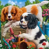 Набор для творчества, Рыжий Кот, Алмазная мозаика Щенки Кокер-Спаниеля, 20х20 c подр., с полн. заполн. (класс.),26цв. AC20062