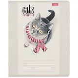Тетрадь в клетку Hatber, "Кототерапия", 12 листов, в ассортименте