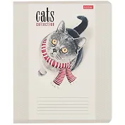 Тетрадь в клетку Hatber, "Кототерапия", 12 листов, в ассортименте