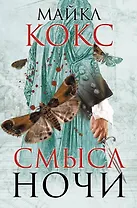 Смысл ночи