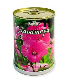 Цветок в банке "Лаватера" (77028)