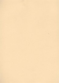 Бумага для пастели А4 "Mi-Teintes" 160г/м2 №470 шампань, Canson