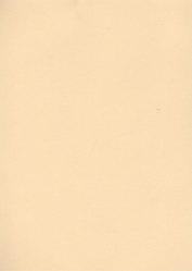 Бумага для пастели А4 "Mi-Teintes" 160г/м2 №470 шампань, Canson