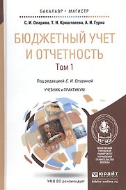 Бюджетный учет и отчетность. Том 1. Учебник и практикум для бакалавриата и магистратуры