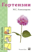 Гортензии