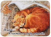 Магнит Я кот. Я ничего не хочу решать