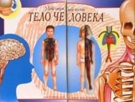 

Тело человека. Мой первый атлас