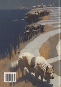 Путь шамана в психотерапии: Исцеление через символический процесс - 1