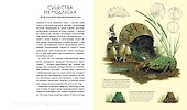 После человека. Зоология будущего - 2