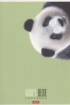 Тетрадь в клетку Hatber, "Кто здесь?", А4, 96 листов, в ассортименте