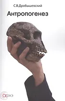 Антропогенез (м) Дробышевский