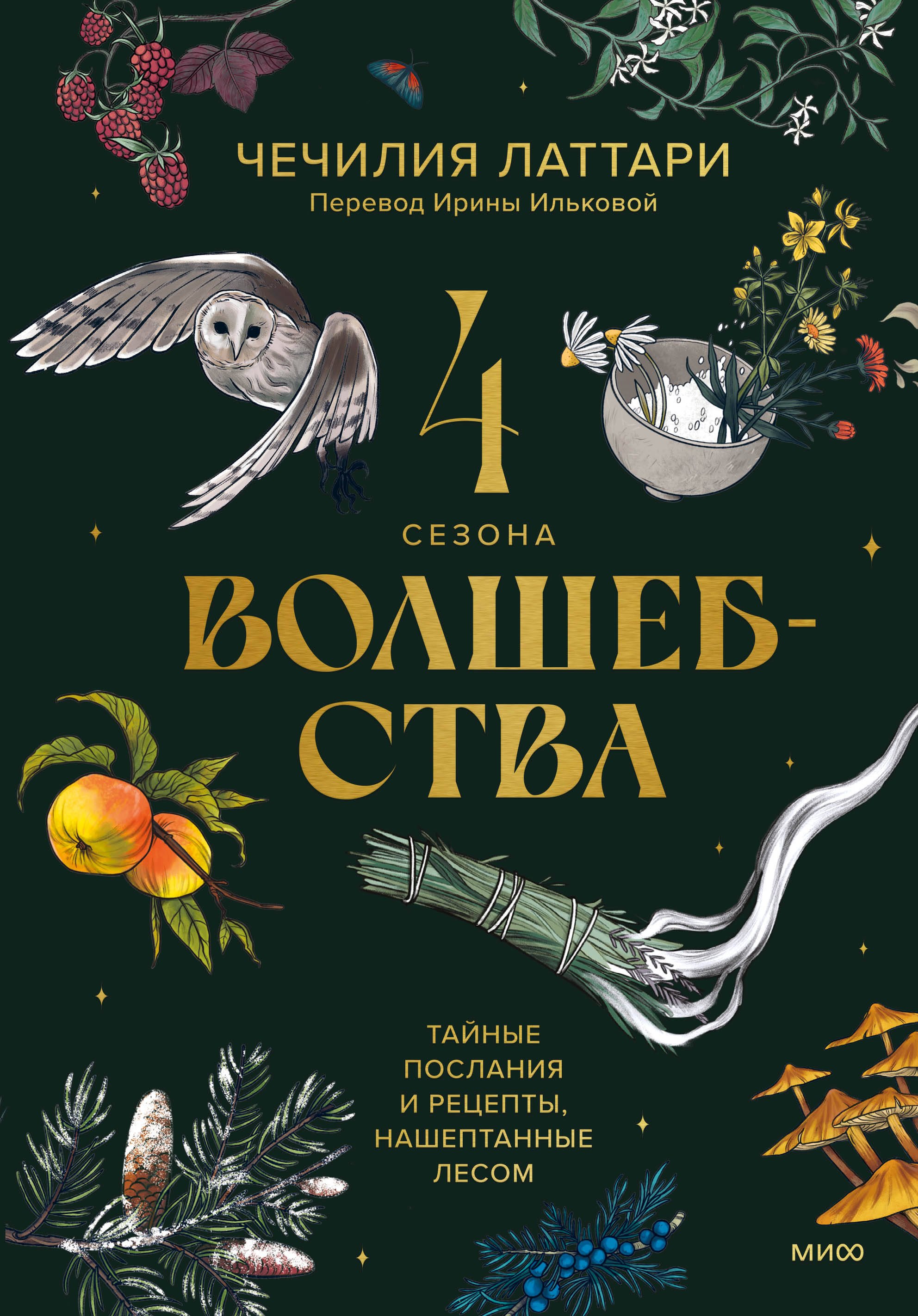 

4 сезона волшебства. Тайные послания и рецепты, нашептанные лесом