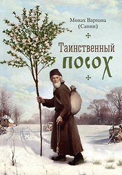 Таинственный посох. Рассказы для юношества