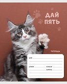 Тетрадь в клетку Listoff «Дай пять!» в ассортименте, 24 листа - 2