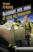 Пылающее небо войны. 60 побед над Люфтваффе