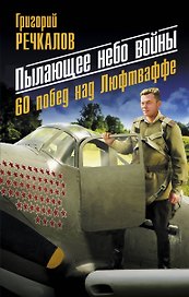 Пылающее небо войны. 60 побед над Люфтваффе