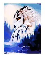 Холст с красками по номерам "Сова с Луной", 30 х 40 см