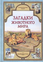 Загадки животного мира