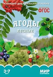 Ягоды лесные. Наглядно-дидактическое пособие. ФГОС