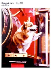 Картина по номера на картоне ТМ LORI "Верный друг" 50х40см