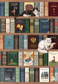 Блокнот. Книжный шкаф. (А5, твердая обложка, 64 л.)