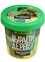 Набор для выращивания растений, Вырасти, Дерево! Лиственница сибирская zk-049