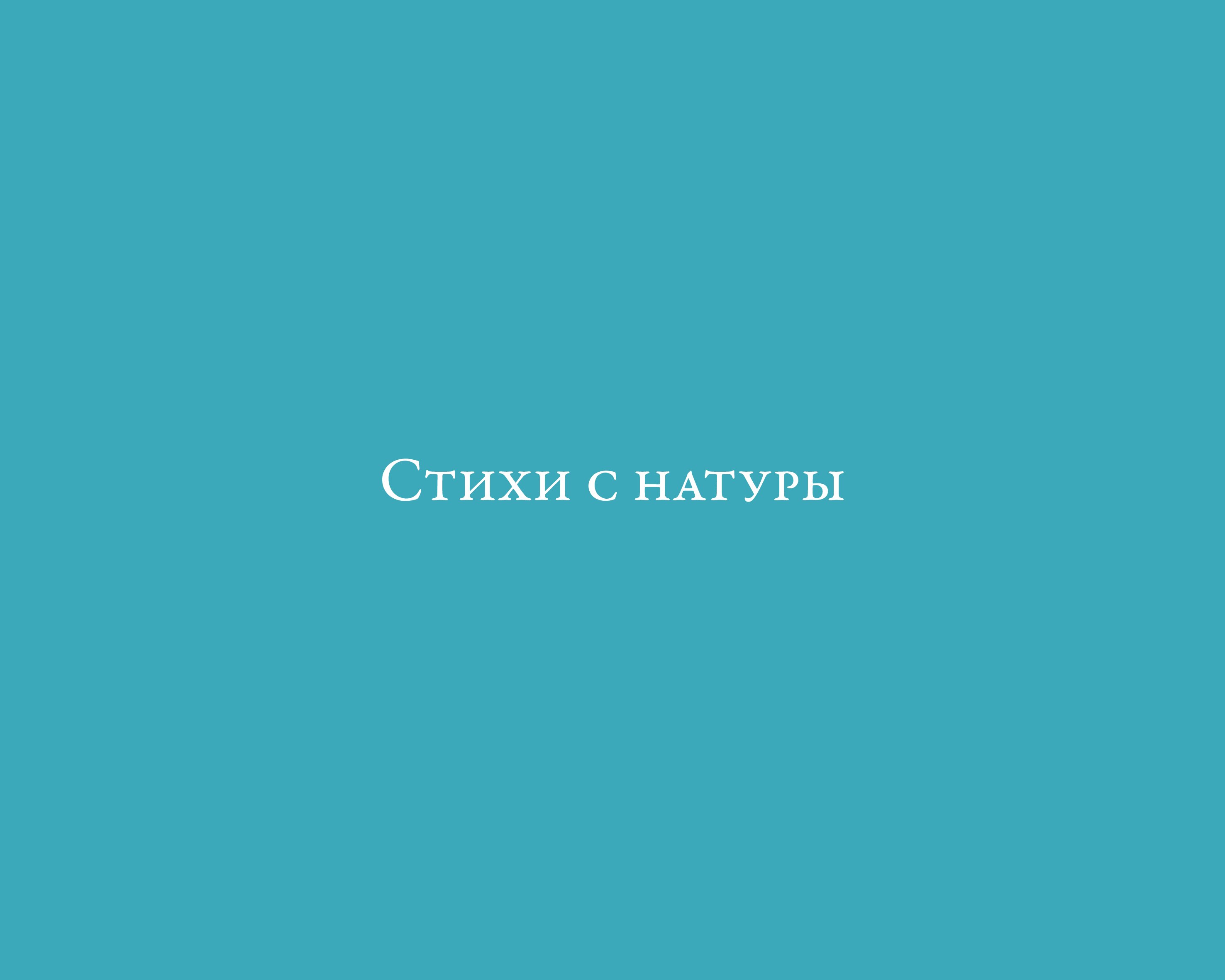 

Стихи с натуры