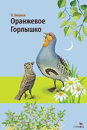 Оранжевое горлышко. Сказка