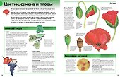 Новая энциклопедия школьника - 2