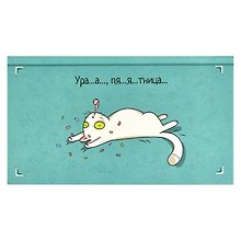 Планинг недат.  165х90 64 л "ПЯТНИЧНЫЙ КОТИК" карманный, тв.переплет, мат.ламинация, выб.УФ-лак, офсет