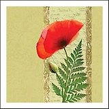 Салфетки, Петропен , Daisy Daisy "Мак", 33х33х3 сложения, 20 шт., зеленый фон