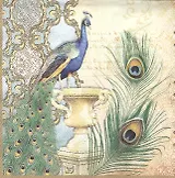 Наб. салф. для декупажа Павлин (141320/211238) (2шт) (упаковка)