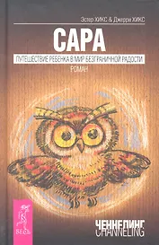 Сара. Путешествие ребенка в мир безграничной радости. Роман