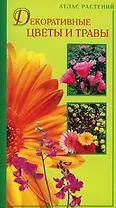 Декоративные цветы и травы